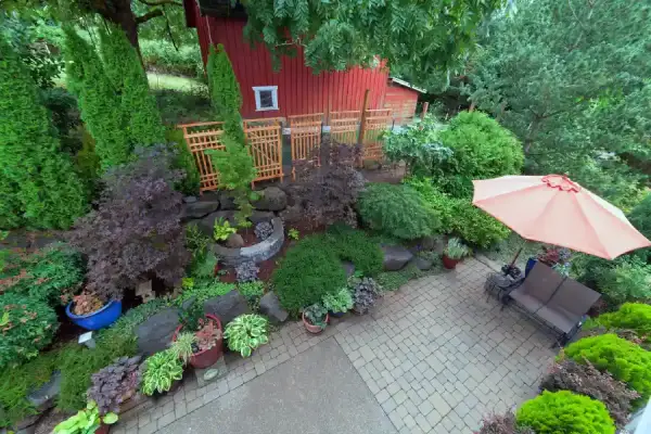 Patio Construction